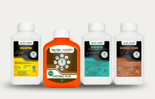 Performans 4'lüsü Ecotec Pharma
