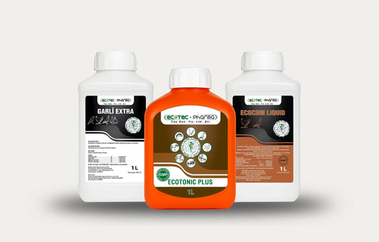 İştah ve Direnç Seti Ecotec Pharma