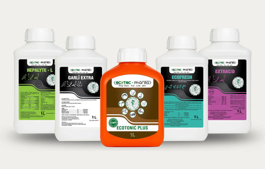Kanatlı Güç Paketi Ecotec Pharma