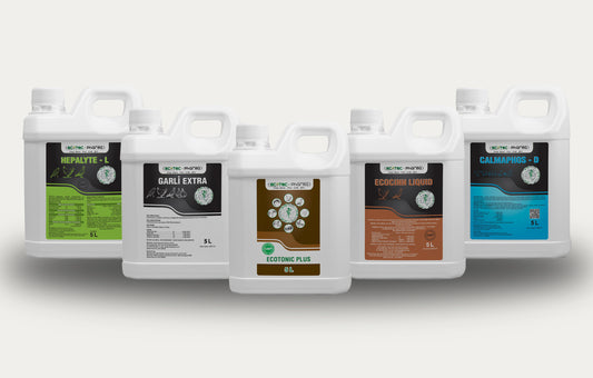 Yüksek Performans 5'lisi