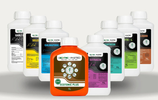Kanatlı Ultra Koruma Paketi Ecotec Pharma
