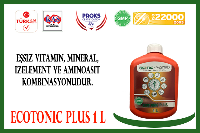 Ecotonic Plus 1lt Vitamin Mineral izelement ve Aminoasit Kombinasyonu