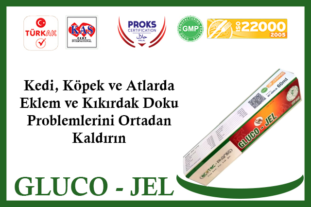 Gluco-Jel Kedi Köpek ve Atlarda Eklem ve Kıkırdak Doku Problemlerini Ortadan Kaldırın