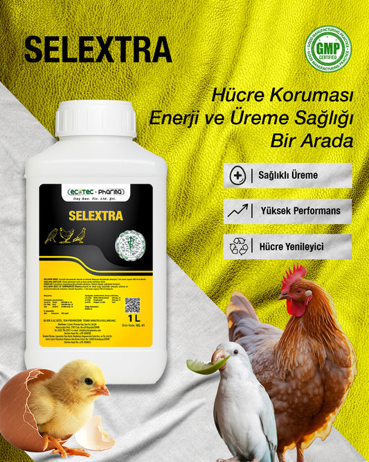 Selextra