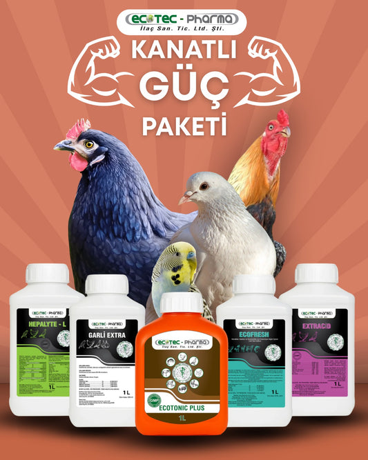 Kanatlı Güç Paketi