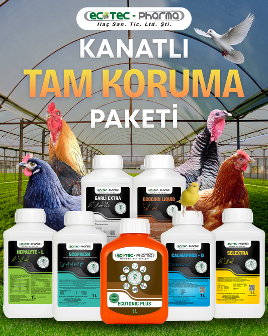 Kanatlı Tam Koruma Paketi