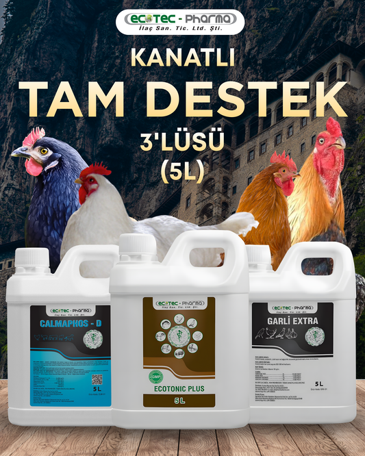 Tam Destek 3'lüsü (5 Litre)
