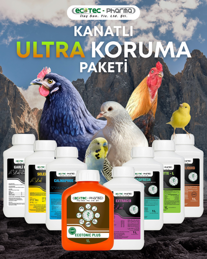 Kanatlı Ultra Koruma Paketi