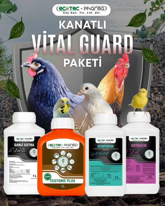 Vital Guard Paketi