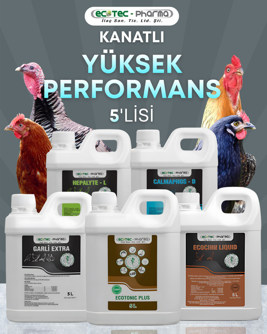 Yüksek Performans 5'lisi